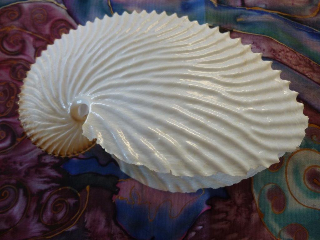 Limpets